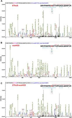 Comprehensive Plasma N-Glycoproteome Profiling Based on EThcD-sceHCD-MS/MS